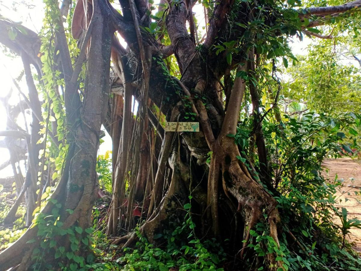 高龙撒冷岛 The Azure - M'Pai Bay酒店 外观 照片